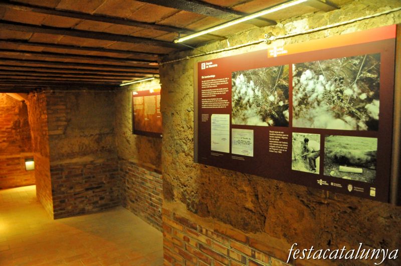 Agramunt - Refugi de la guerra civil a l’església de Santa Maria