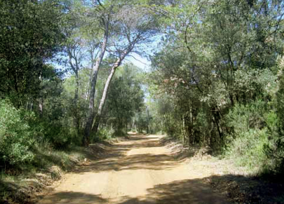 Itineraris a peu i en bicicleta a Santa Maria de Palautordera