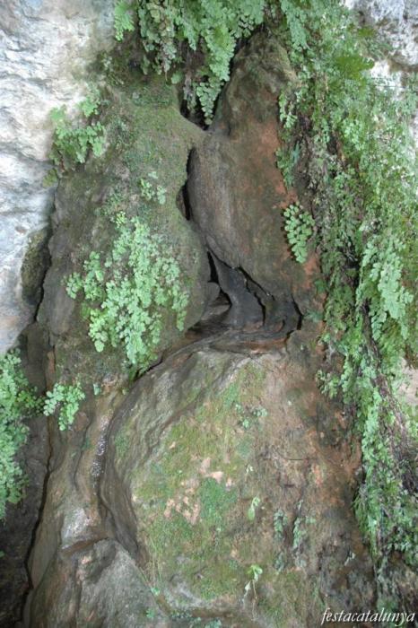 Bruc, El - Balma de can Solà