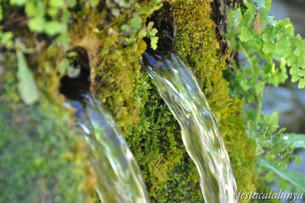 Les Fonts de Rellinars