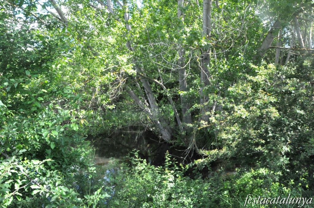 Tordera - Estany de can Raba