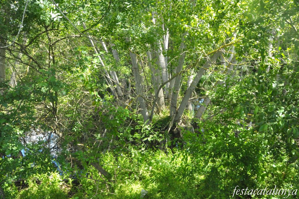 Tordera - Estany de can Raba