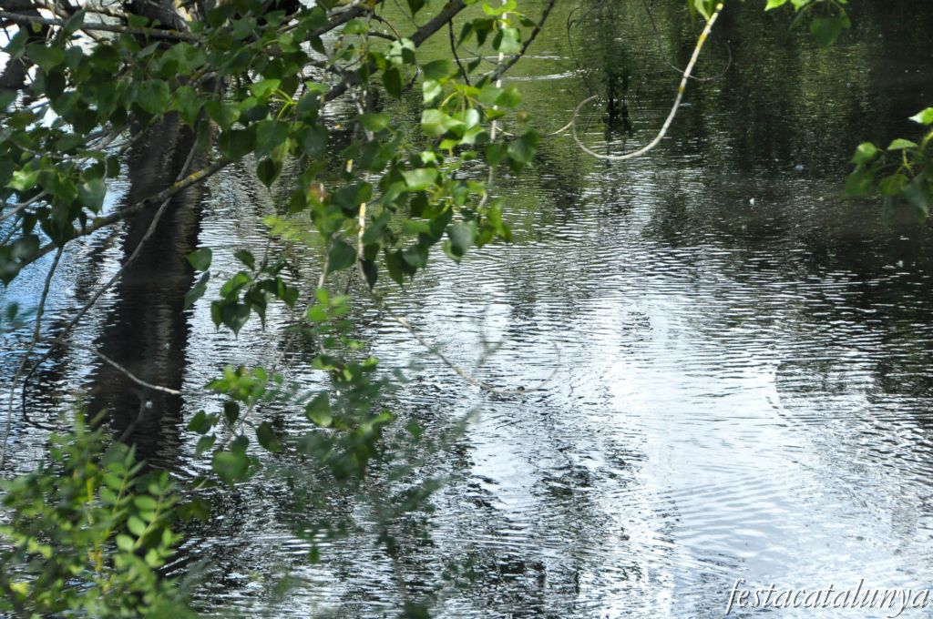 Tordera - Estany de can Raba