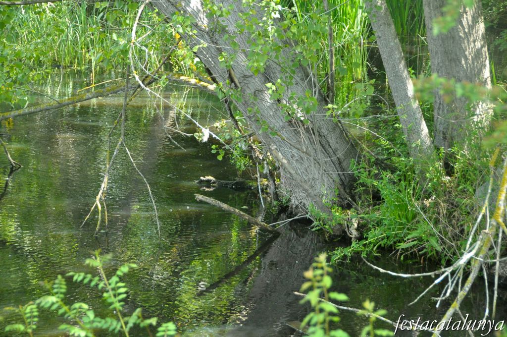 Tordera - Estany de can Raba