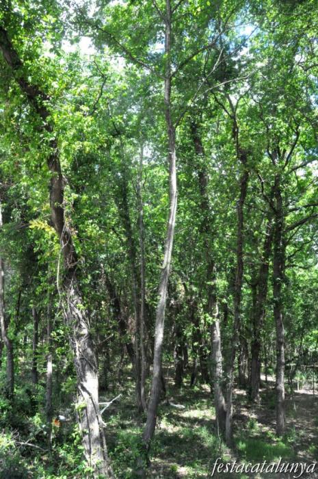 Tordera - Roureda de Tordera