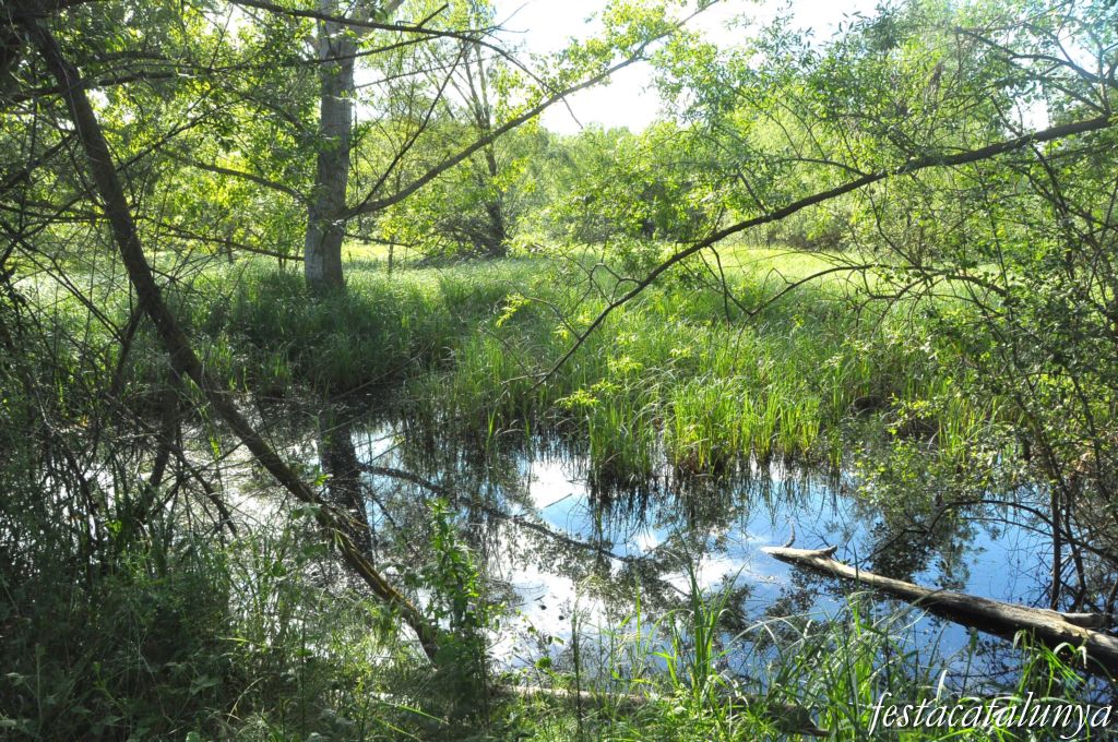 Tordera - Estany de can Torrents