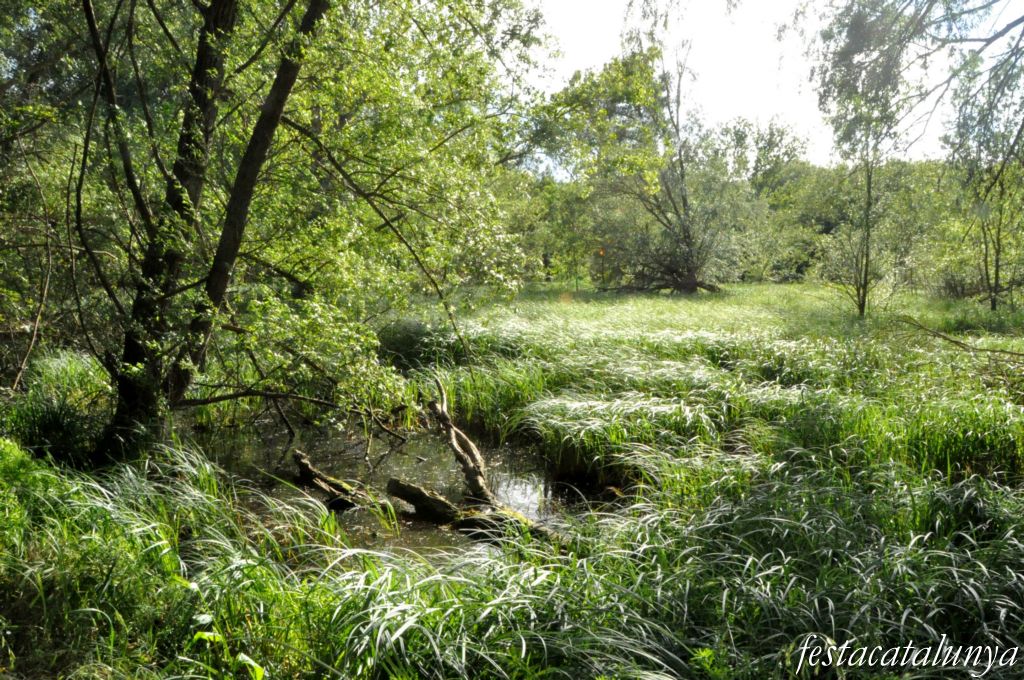 Tordera - Estany de can Torrent