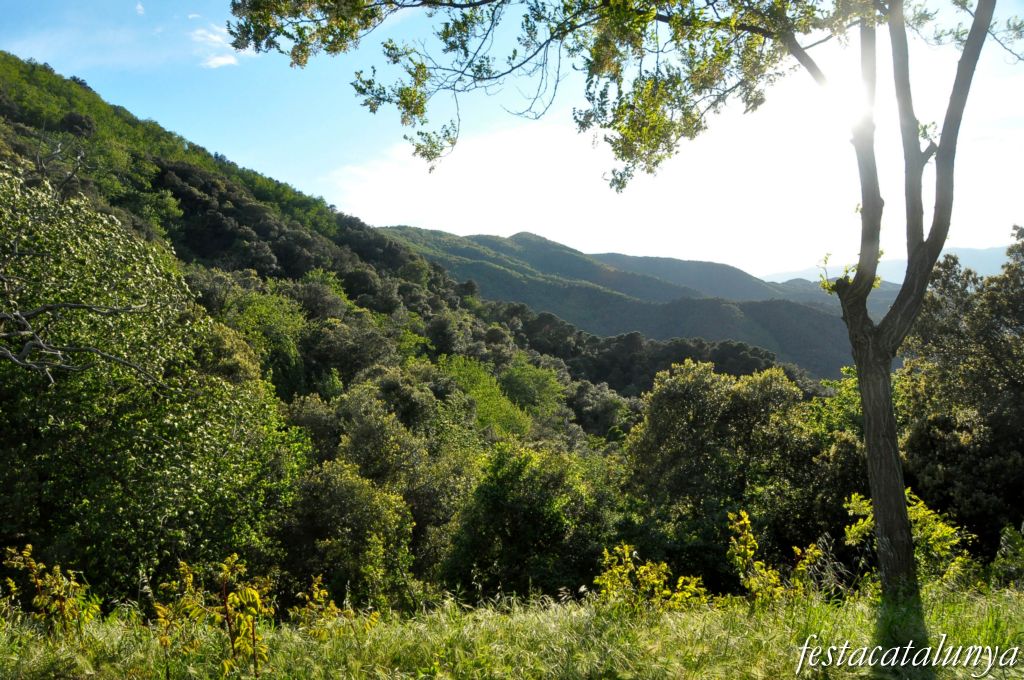 Tordera - Parc del Montnegre i el Corredor