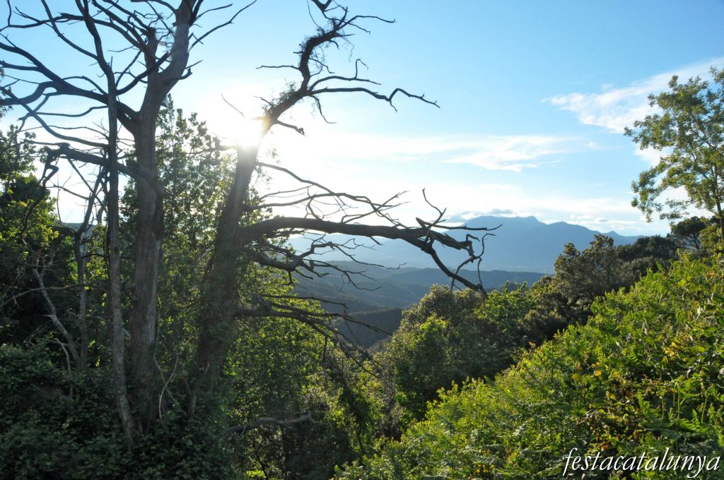 Parc del Montnegre i el Corredor