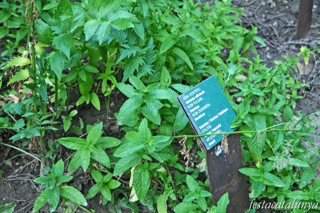 Bellver de Cerdanya - Nucli antic (Jardí de plantes medicinals de ca les Monges)