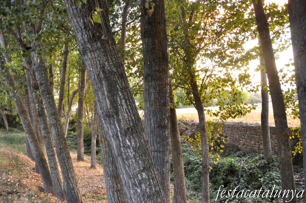 Ribera d’Ondara - Camp dels màrtirs del mas Claret