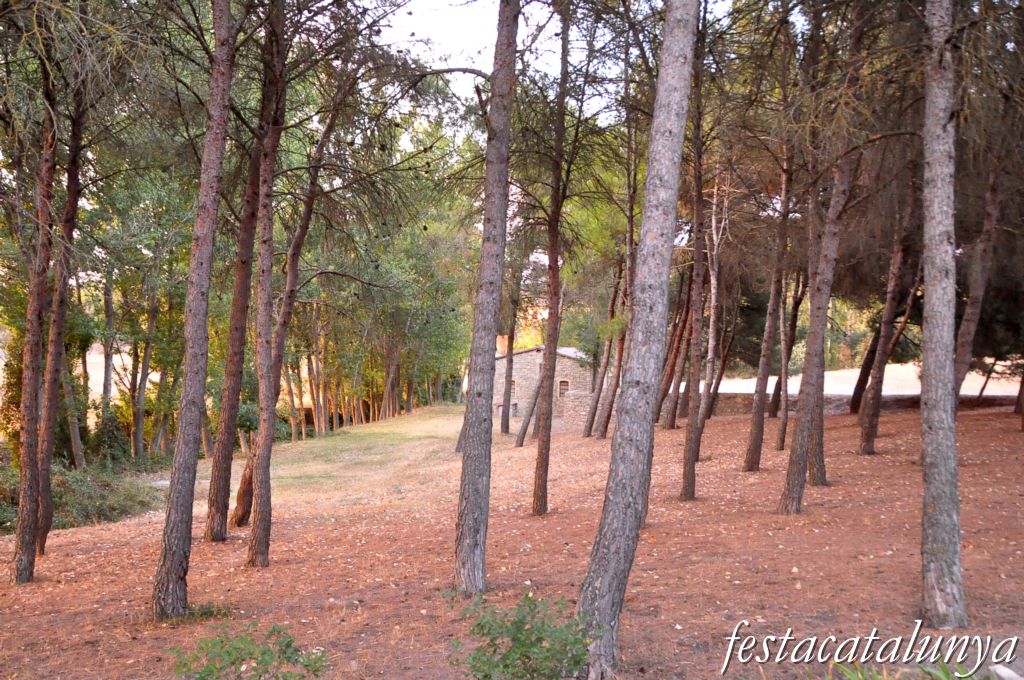 Ribera d’Ondara - Camp dels màrtirs del mas Claret