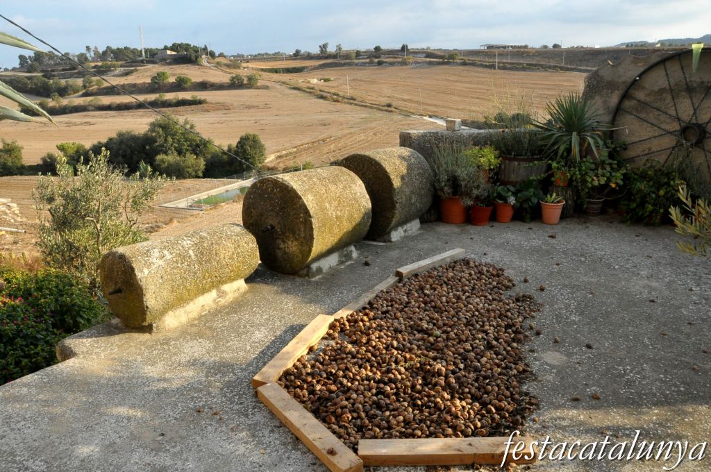Ribera d’Ondara - Poble de Briançó