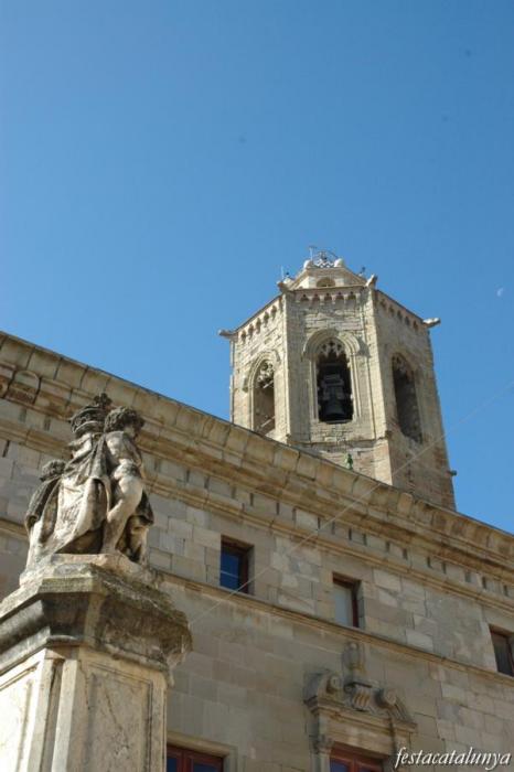 Visites Guiades als monuments de Cervera