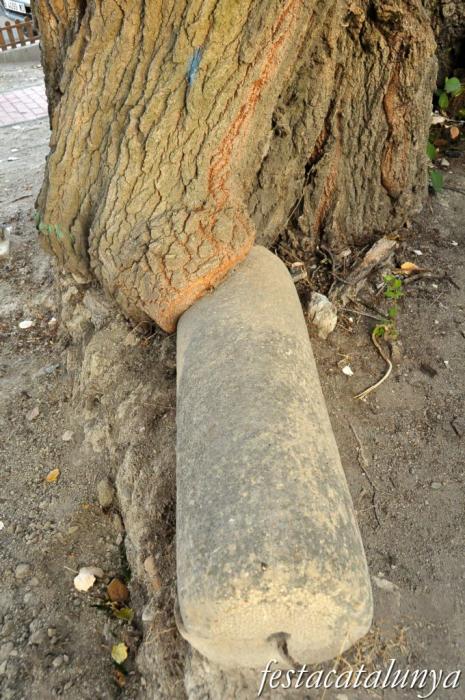 Ribera d’Ondara - Pollancre monumental als Hostalets