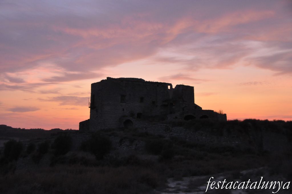Timor a Ribera d'Ondara