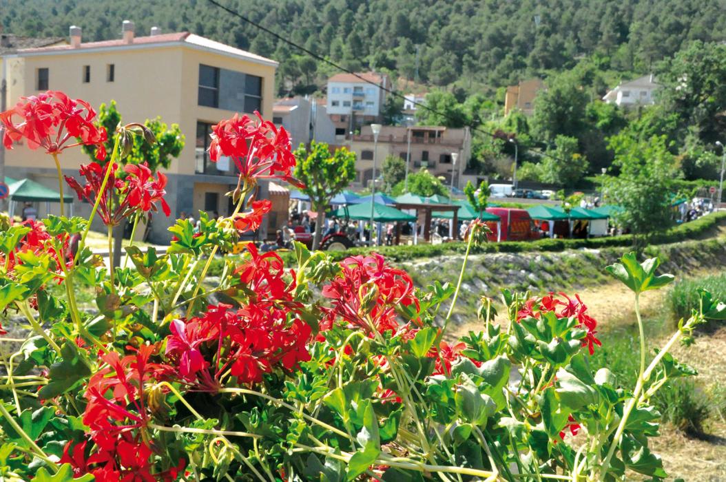 Fira Verd de Carme, la fira de floristeria, jardineria i complements