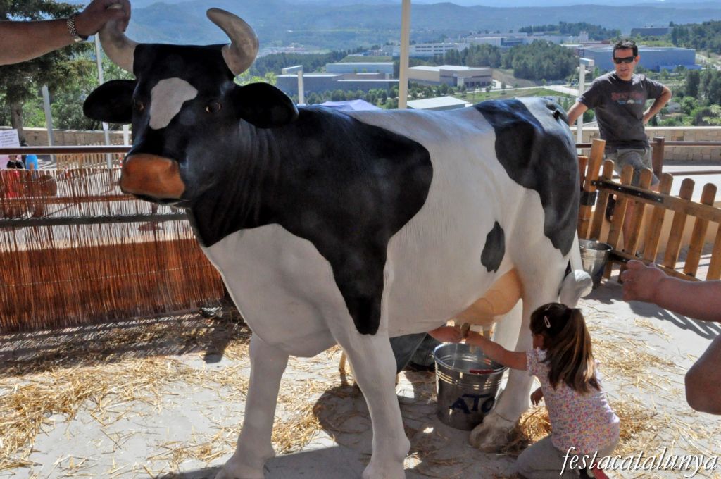 Fira del Panellet de Castellgalí