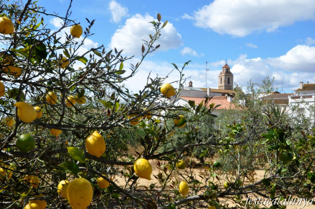 Freginals - Campanar de l’església parroquial de Sant Bartomeu