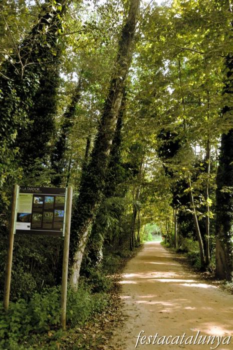 Salt - Parc de les Deveses