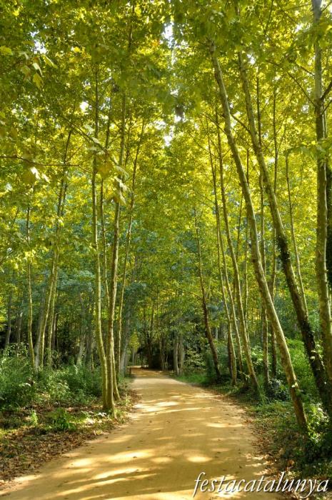 Salt - Parc de les Deveses