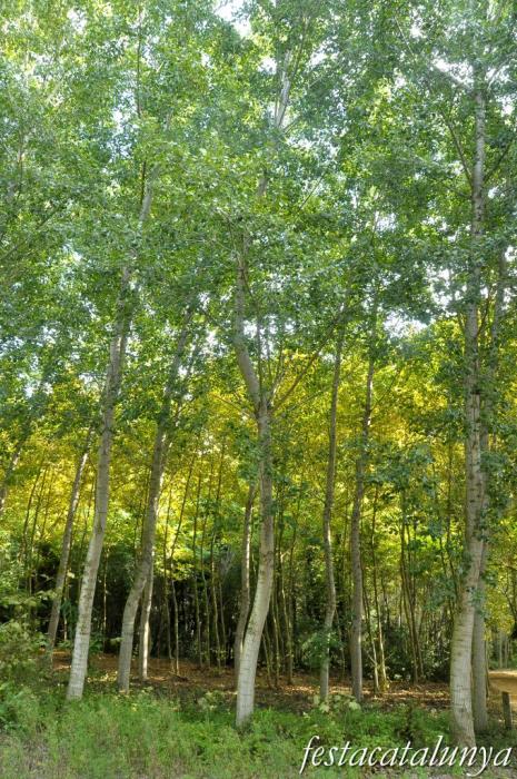 Salt - Parc de les Deveses