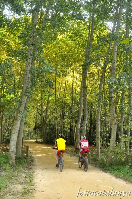 Salt - Parc de les Deveses