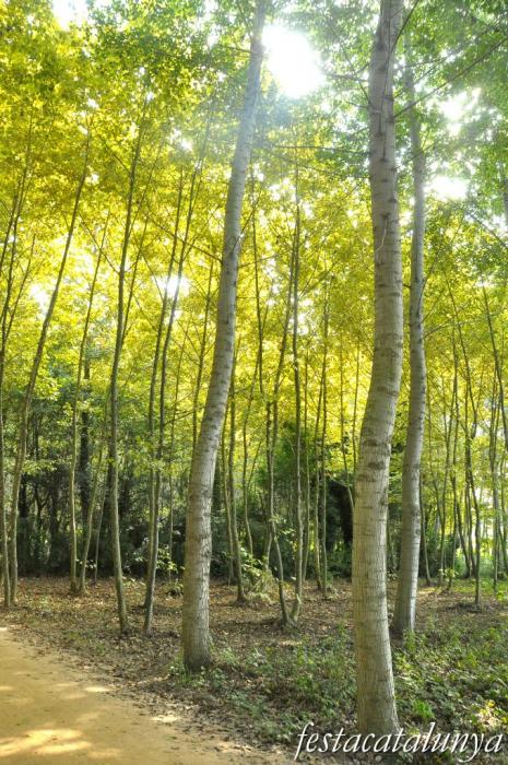 Salt - Parc de les Deveses