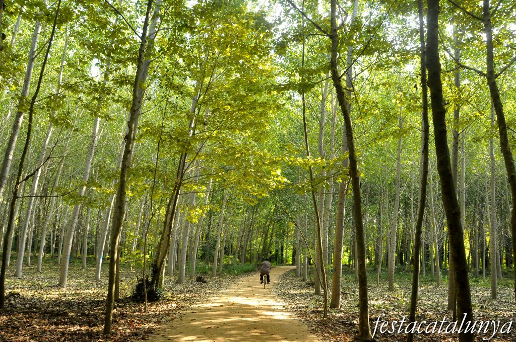 Salt - Parc de les Deveses