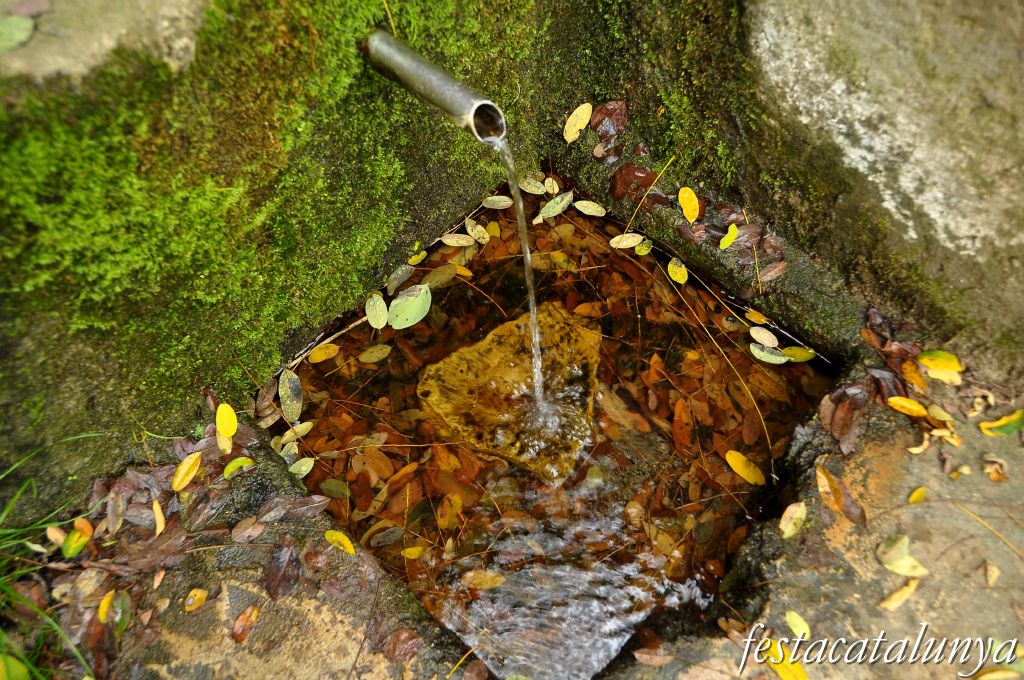 Sant Pere de Vilamajor - La Font del Roure Gros