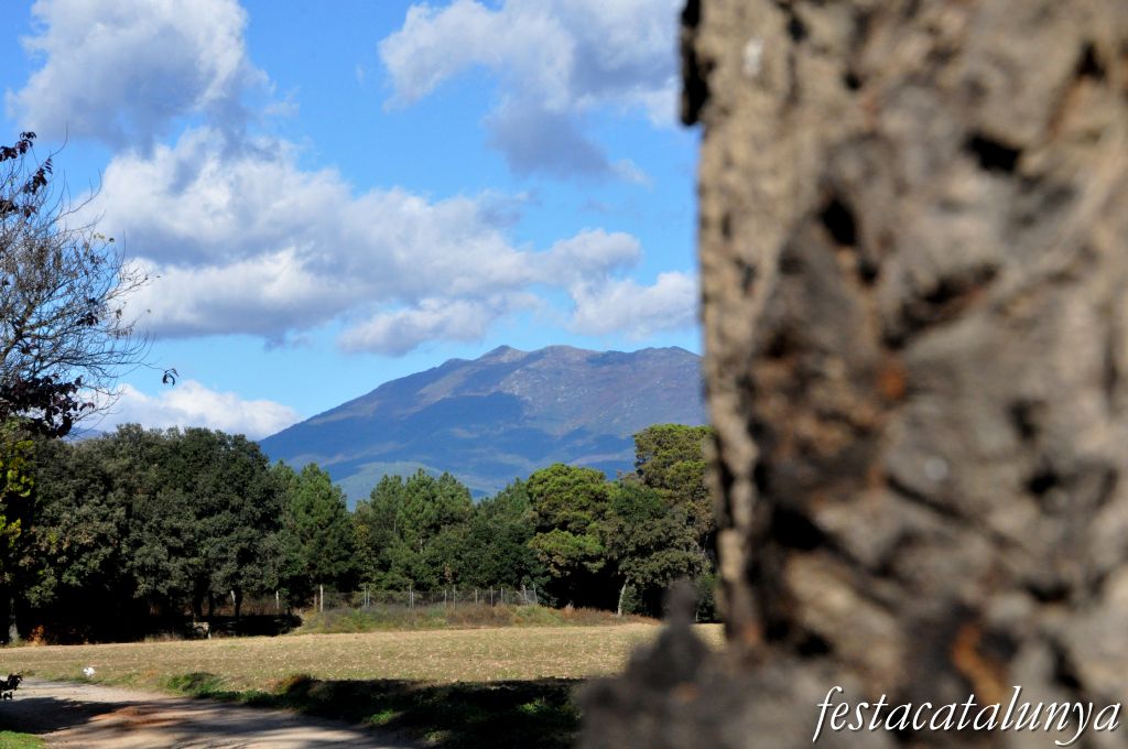 Llinars del Vallès - Can Colomer (Roure monumental)