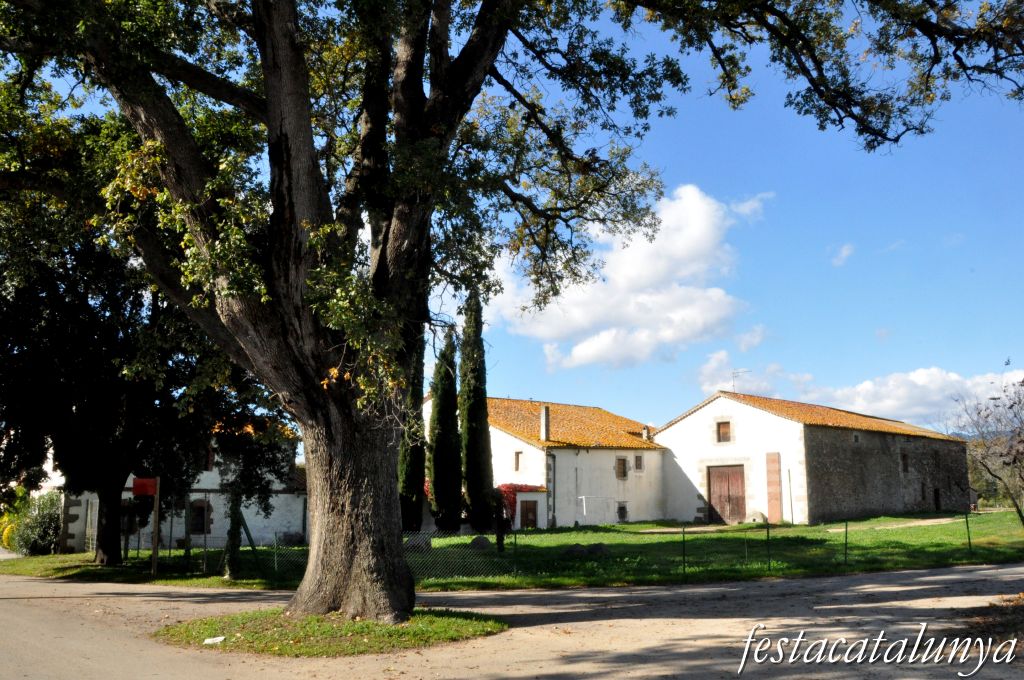 Llinars del Vallès - Can Colomer (Roure monumental)
