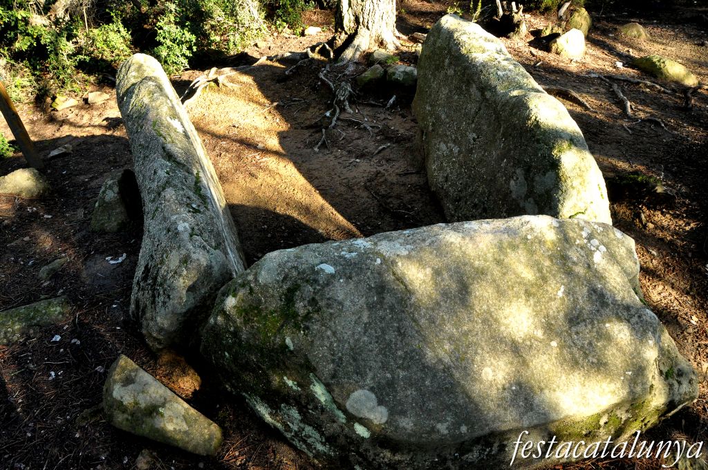 Roca del Vallès, La - Ruta Prehistòrica (Dolmen de can Gol II)