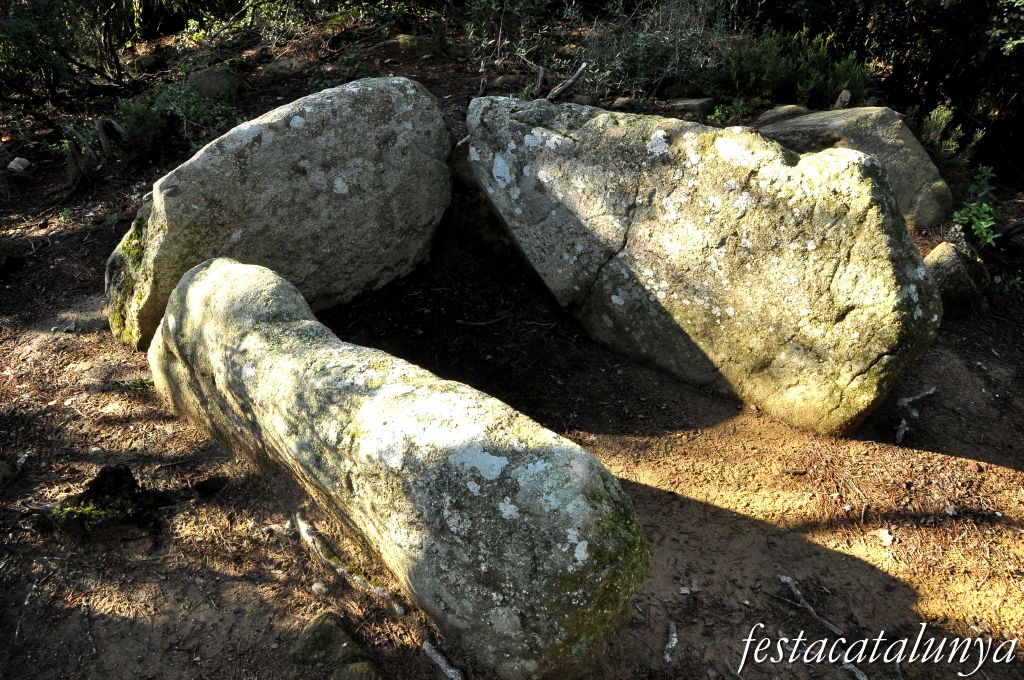 Dolmen de can Gol II