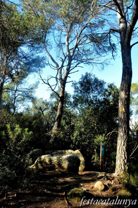 Roca del Vallès, La - Ruta Prehistòrica (Dolmen de can Gol II)