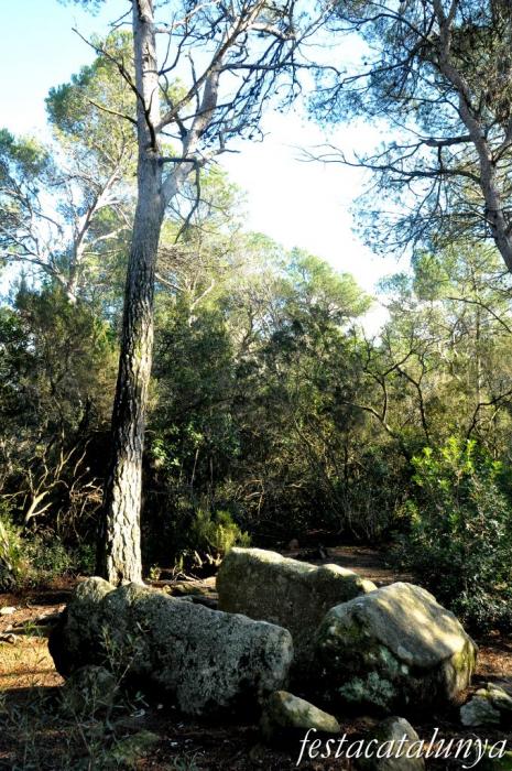 Roca del Vallès, La - Ruta Prehistòrica (Dolmen de can Gol II)
