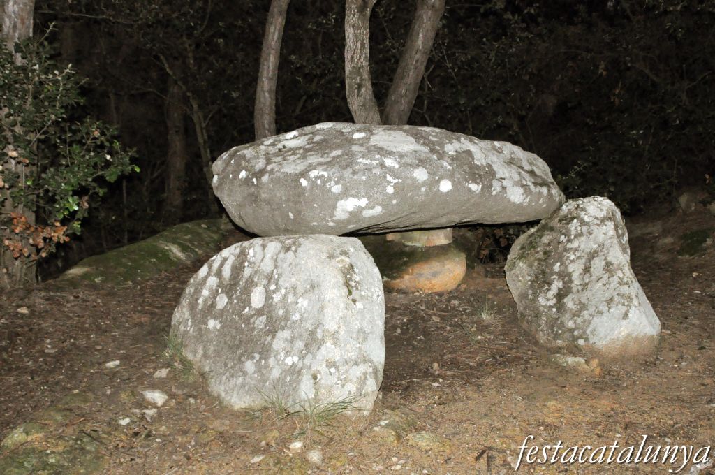 Dolmen de can Planas