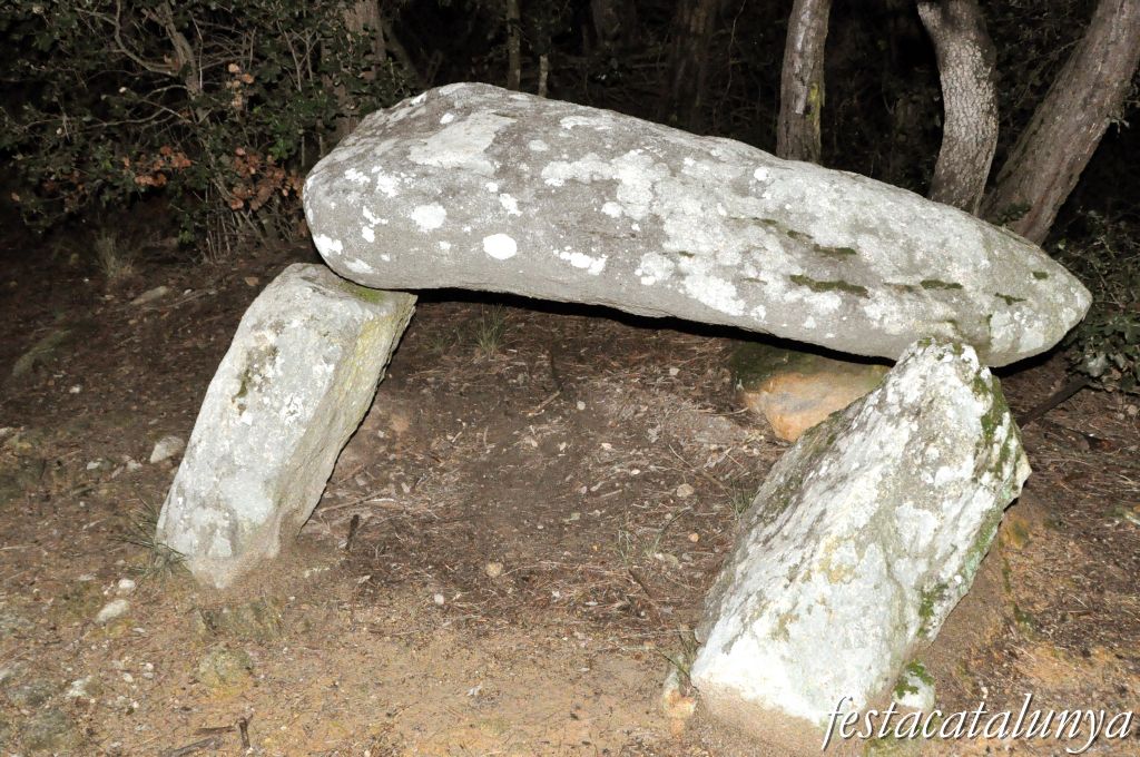 Roca del Vallès, La - Ruta Prehistòrica (Dolmen de can Planes)