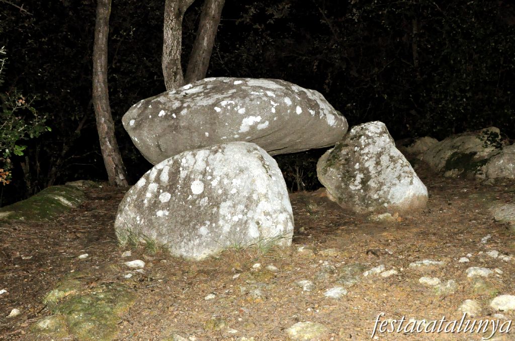 Roca del Vallès, La - Ruta Prehistòrica (Dolmen de can Planes)