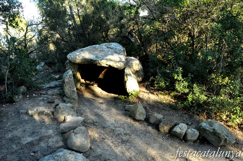 Roca del Vallès, La - Dolmen de Céllecs o Cabana del Moro