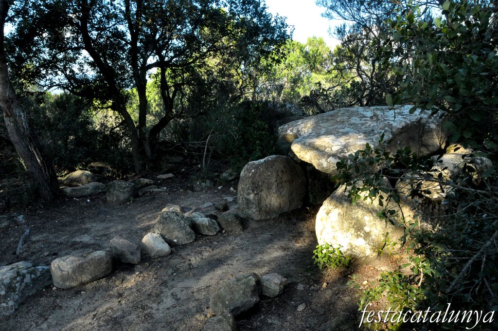 Roca del Vallès, La - Dolmen de Céllecs o Cabana del Moro