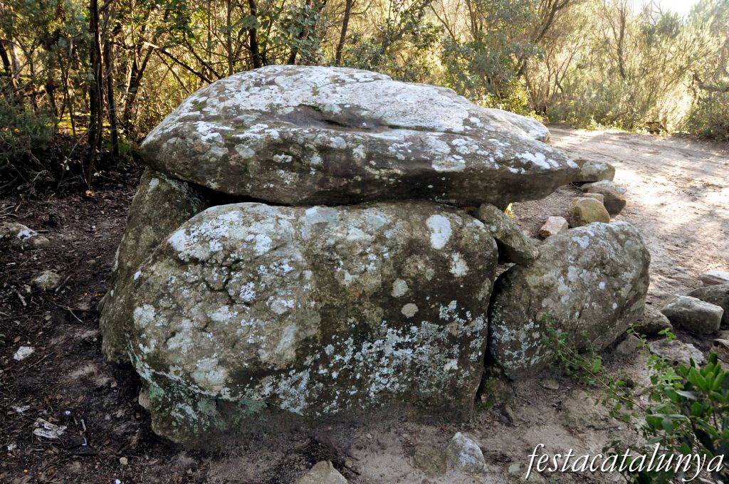 Roca del Vallès, La - Dolmen de Céllecs o Cabana del Moro