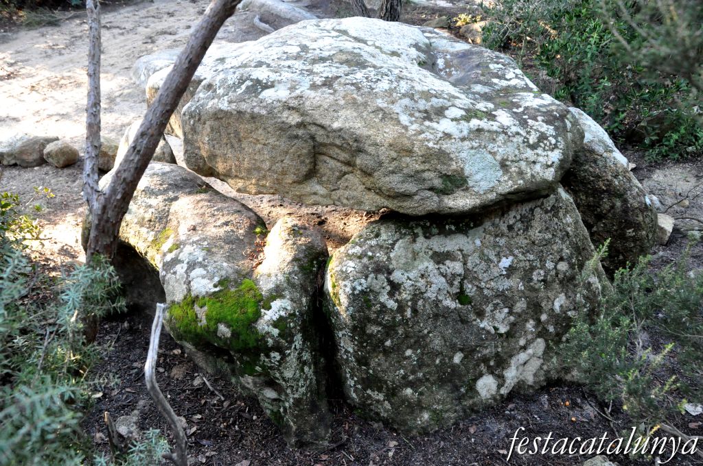 Roca del Vallès, La - Dolmen de Céllecs o Cabana del Moro