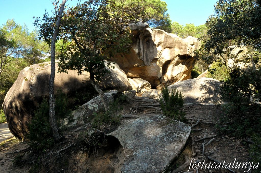 Roca del Vallès, La - La Pedra de les Orenetes