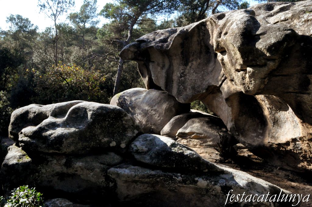 Roca del Vallès, La - La Pedra de les Orenetes