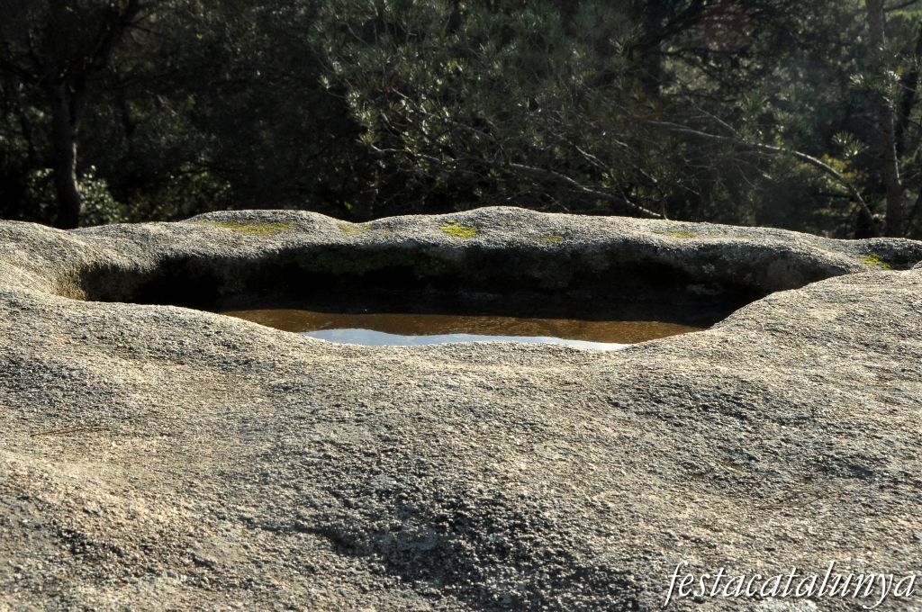 Roca del Vallès, La - La Pedra de les Orenetes