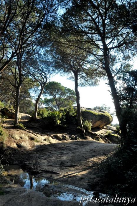 Roca del Vallès, La - La Pedra de les Orenetes