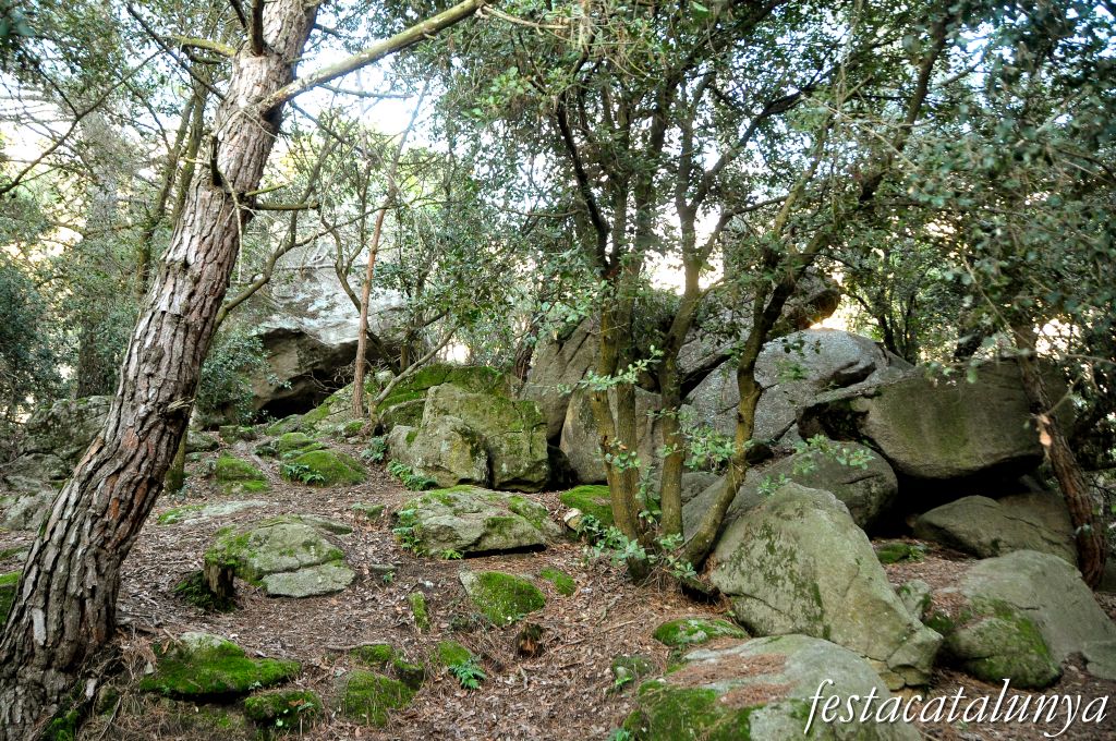 Roca del Vallès, La - Pedra de l’Escorpí