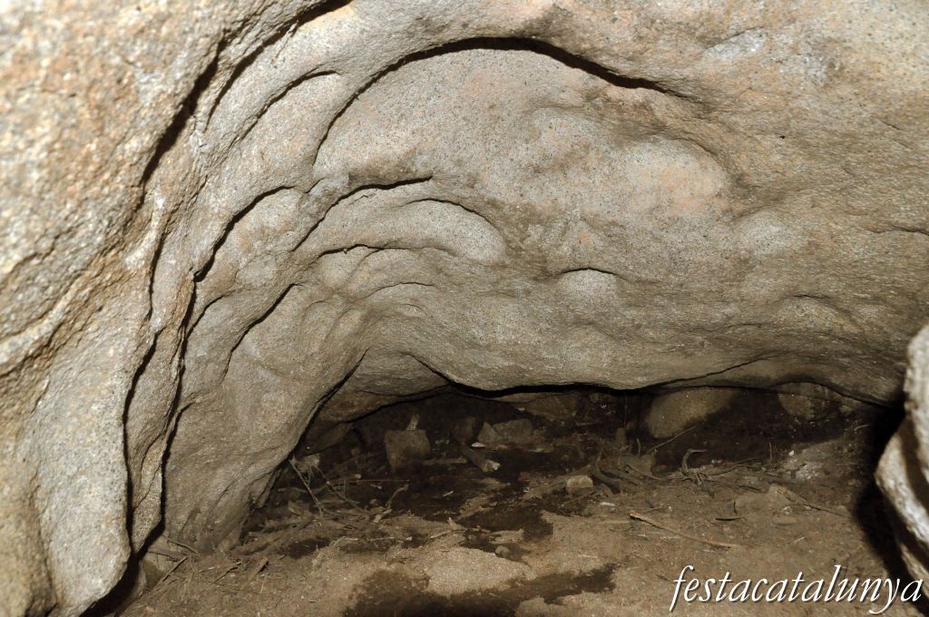 Roca del Vallès, La - Pedra Foradada de can Planes