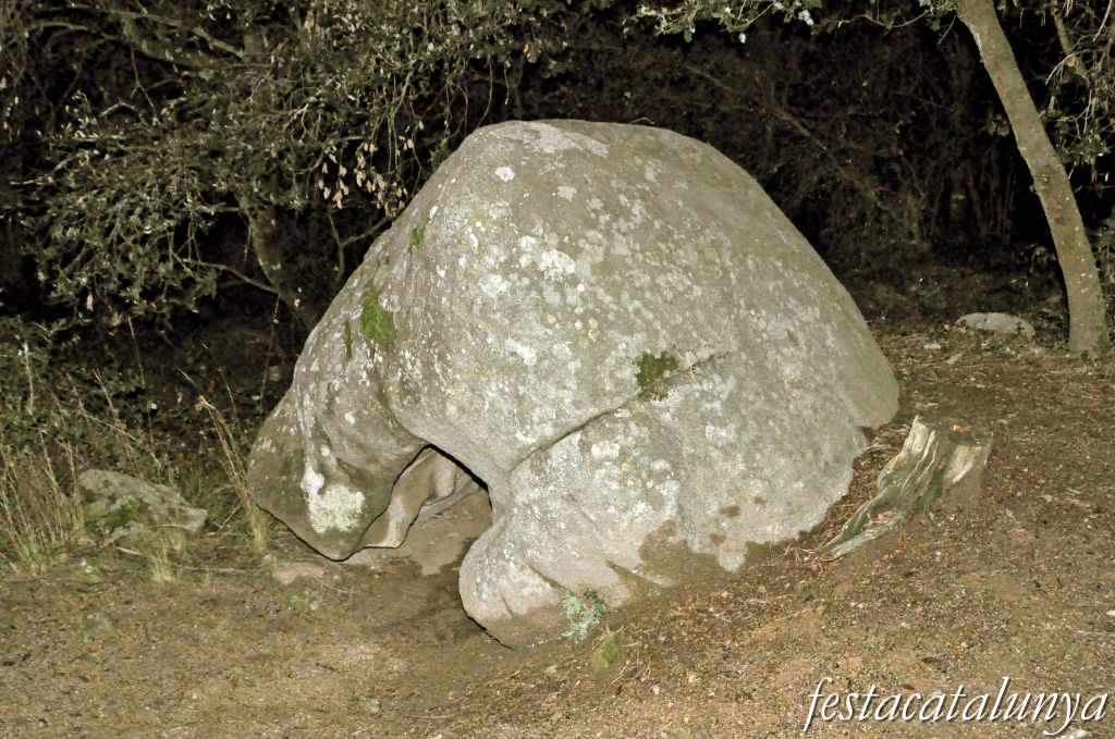 Roca del Vallès, La - Pedra Foradada de can Planes
